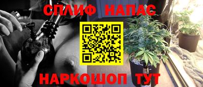 а пвп мука Кингисепп
